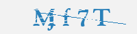 보안문자